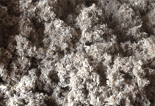 Riverside Loose-fill Insulation