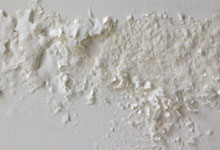 San Bernardino drywall mold removal